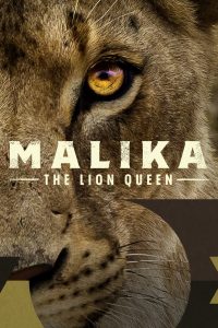 Malika the Lion Queen